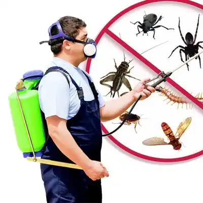 pest control New Lebanon